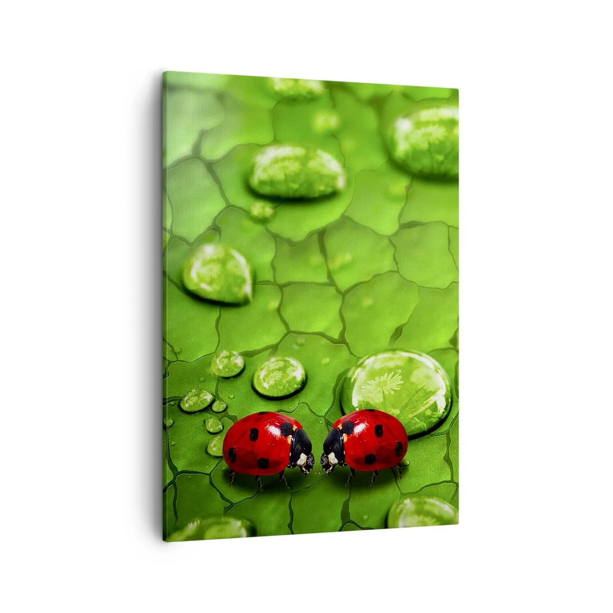 Canvastavla - Bild på duk - Ett möte i det gröna - 50x70 cm