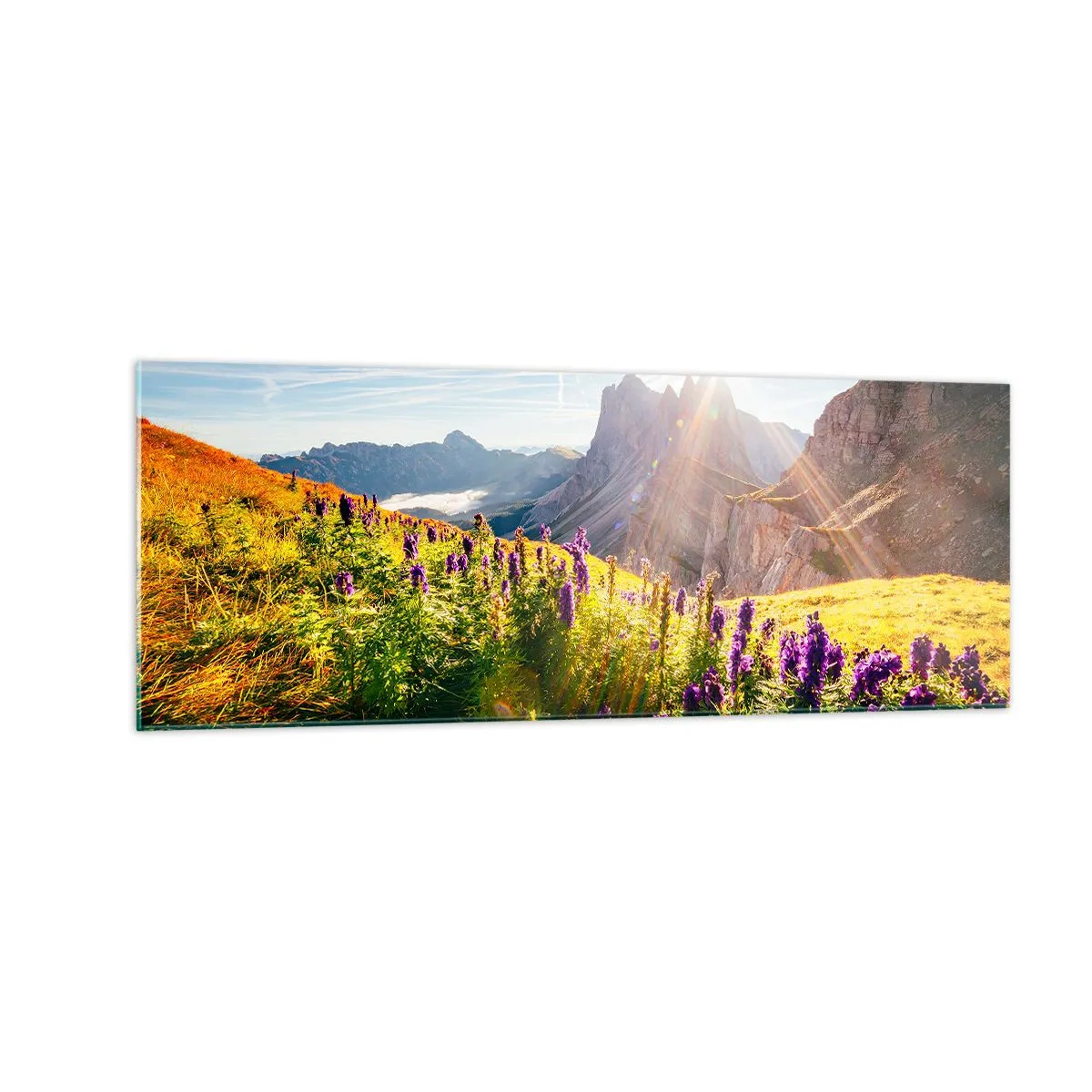 Glastavla - Bild på glas - Örternas hemliga liv - 140x50 cm