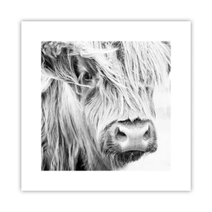 Affisch - Skotsk vildhet - 30x30 cm