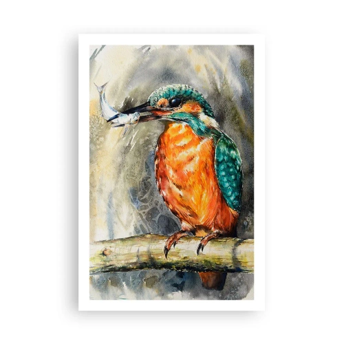 Affisch - Naturens lagar - 61x91 cm