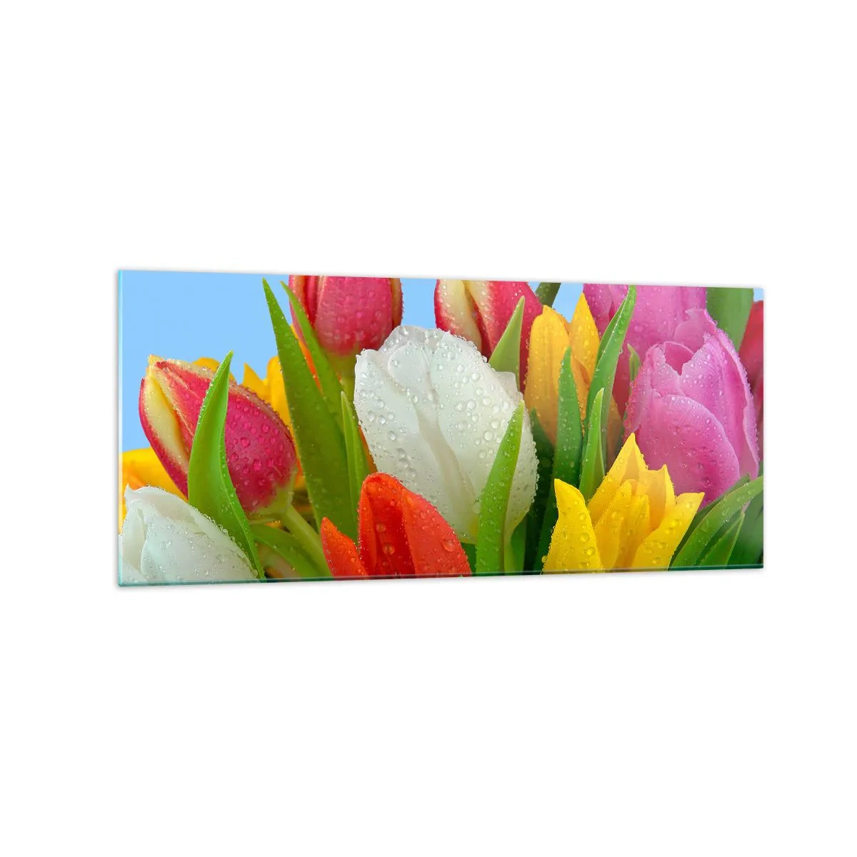 Glastavla - Bild på glas - blommig regnbåge i daggdroppar - 120x50 cm