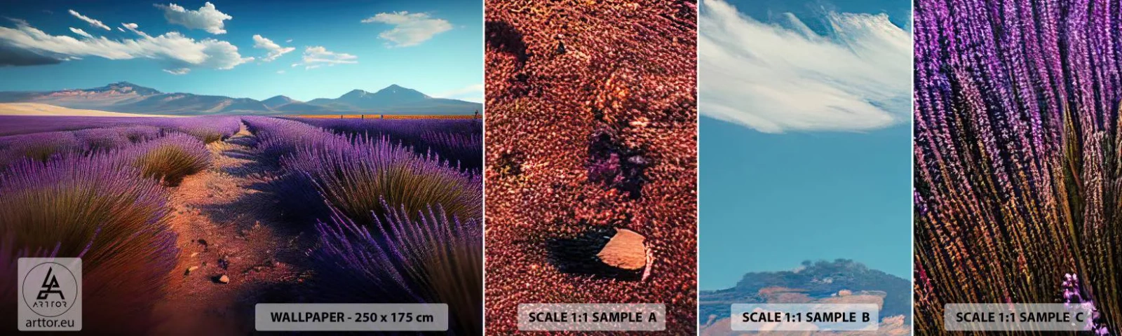 Fototapet Prov Standard Eco - Doftande fält - Lavendel, Horisont, Landskap - 100x30 cm