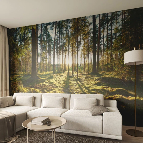 Självhäftande Fototapet Deluxe Sticker - ...Bortom sjunde skogen - Landskap, Skog, Natur - 250x175 cm