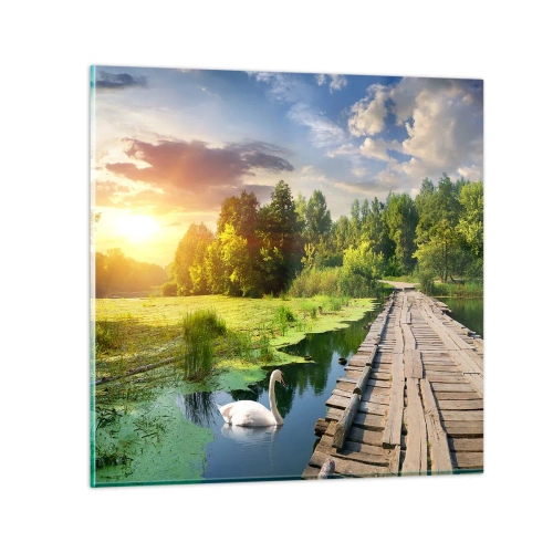 Glastavla - Bild på glas - Sommar, sommar överallt - 40x40 cm