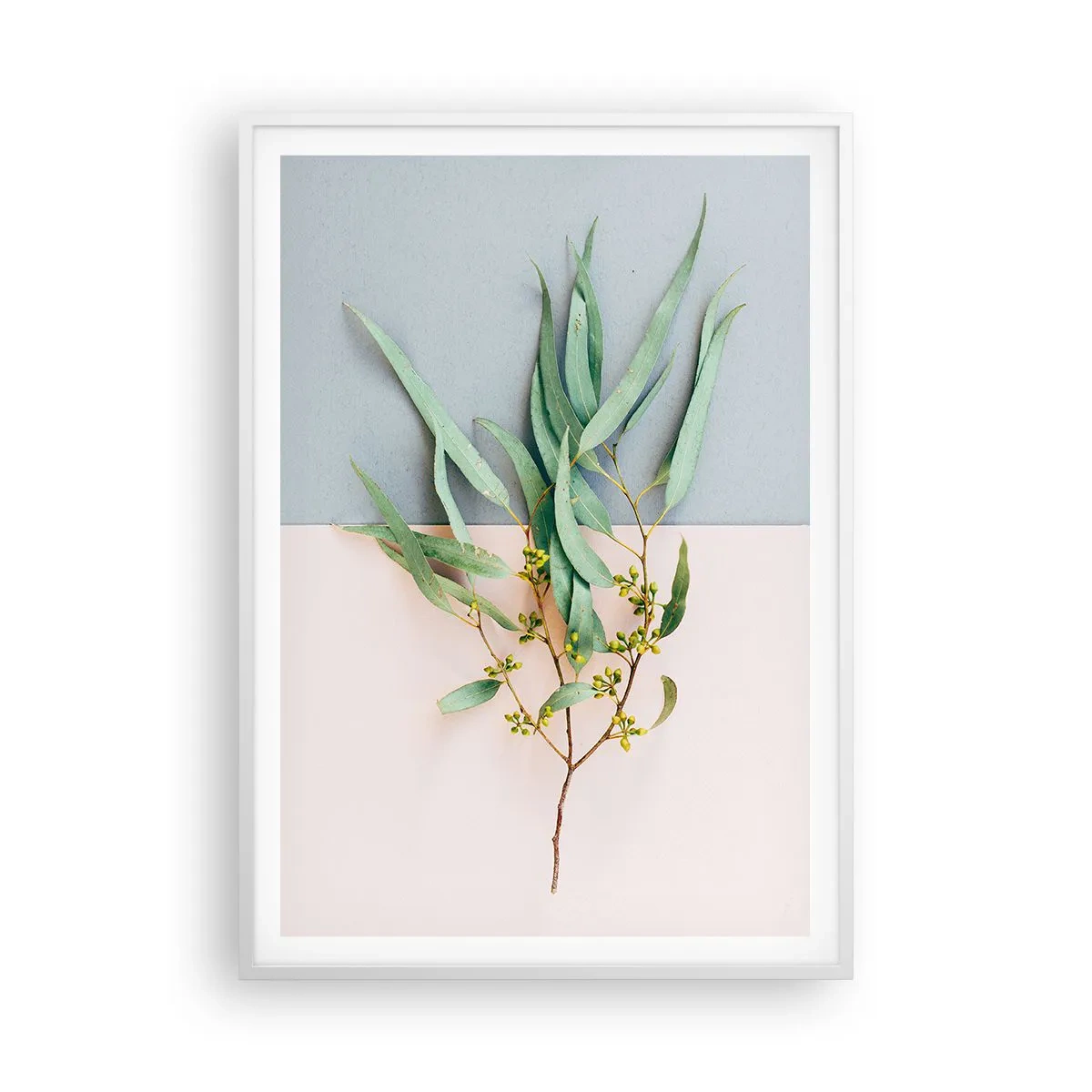 Affisch i vit ram - Pastellens subtilitet - 70x100 cm