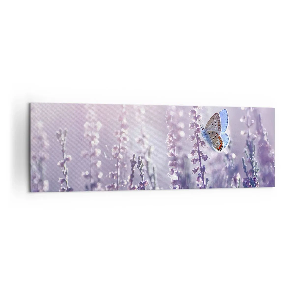 Canvastavla - Bild på duk - En fjärils kyss - 160x50 cm