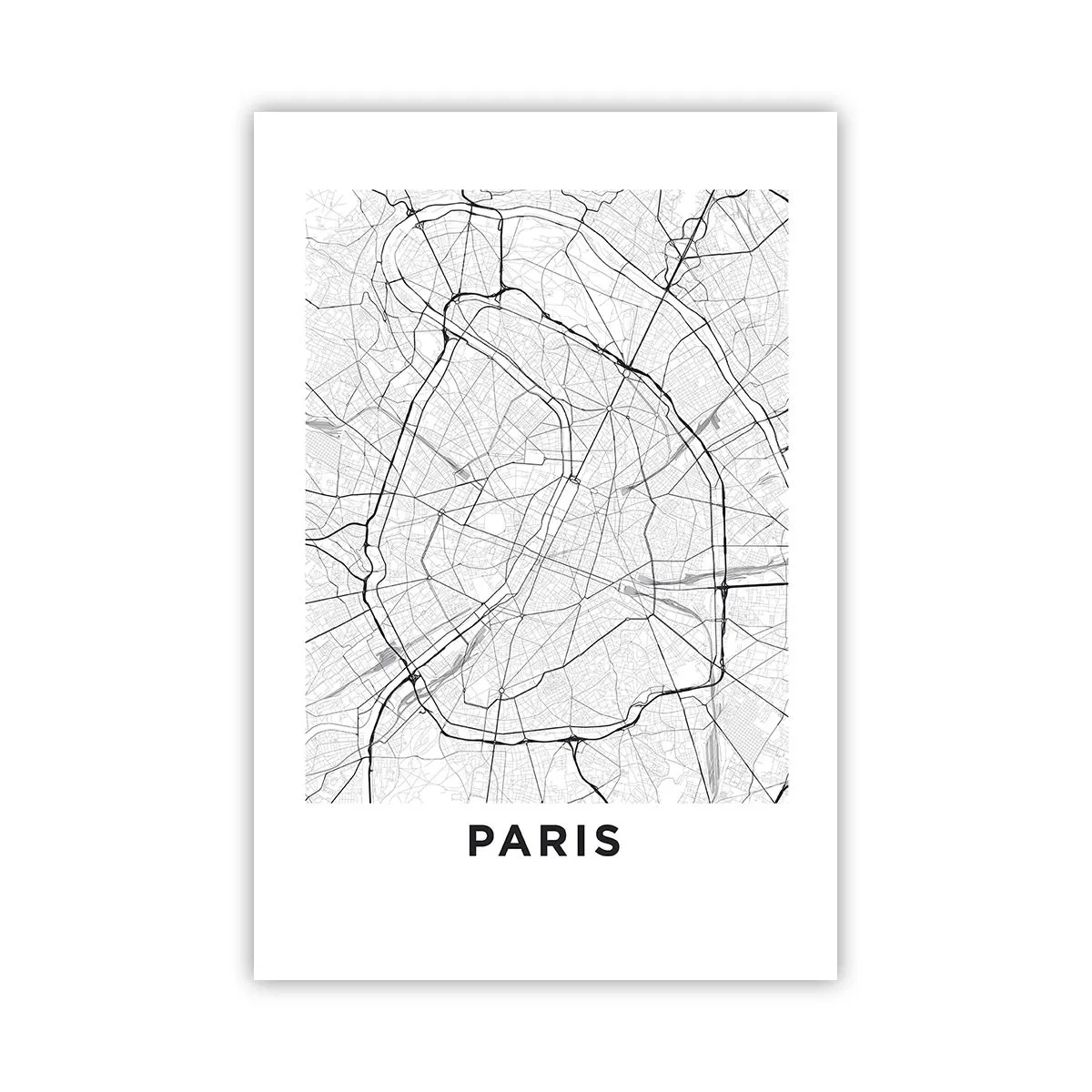 Affisch - Paris blomma - 61x91 cm