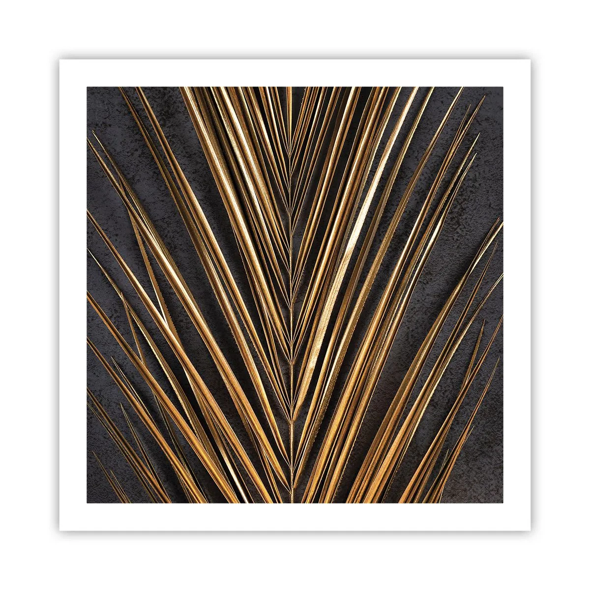 Affisch - Tropikens guld - 60x60 cm