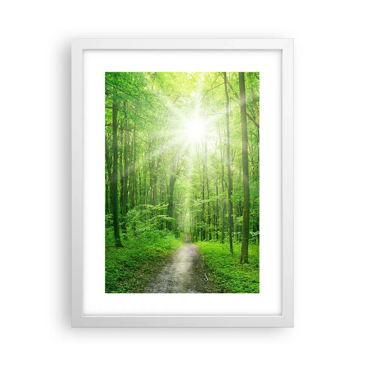 Affisch i vit ram - Grön domkyrka - 30x40 cm