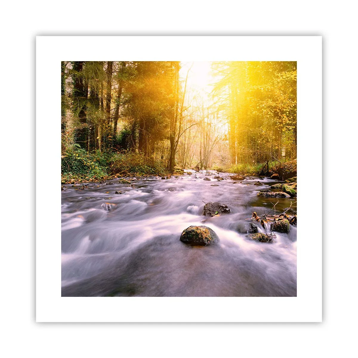 Affisch - Malakit i silver-guld infattning - 40x40 cm