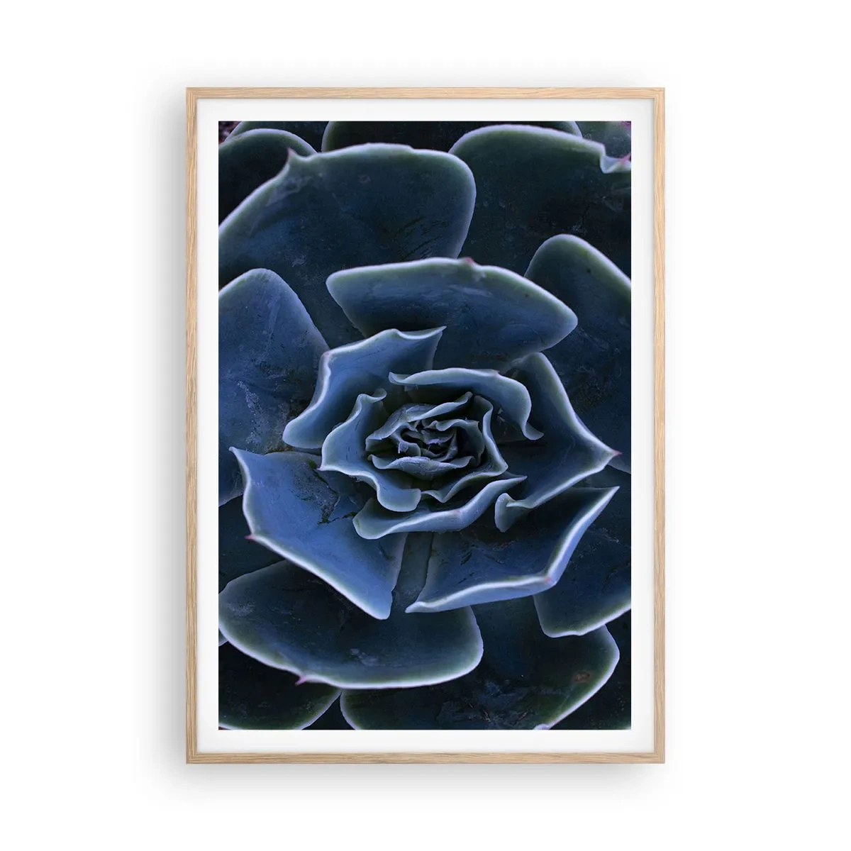 Affisch i ram av ljusek - Öknens blomma - 70x100 cm