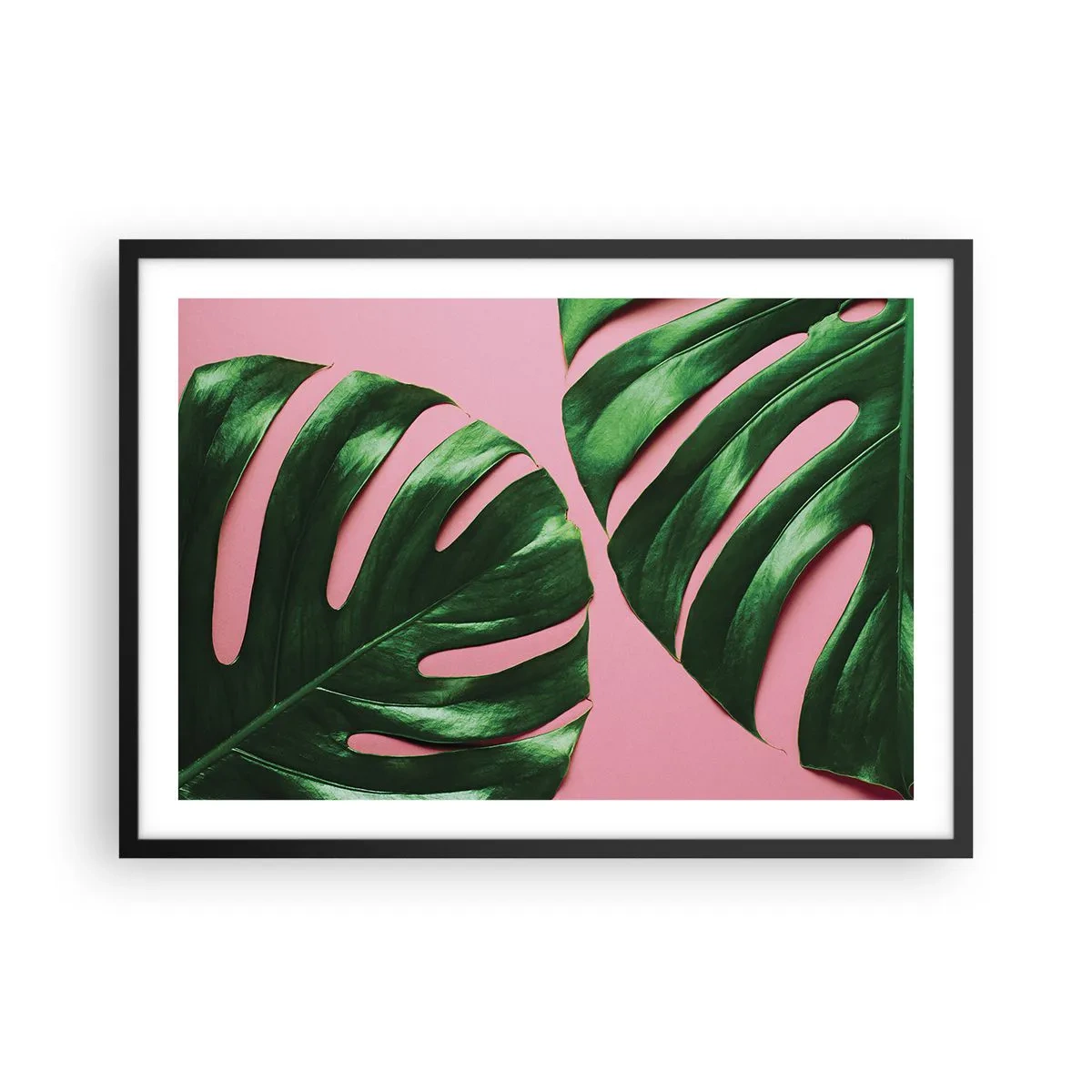 Affisch i svart ram - Grön rendez-vous - 70x50 cm