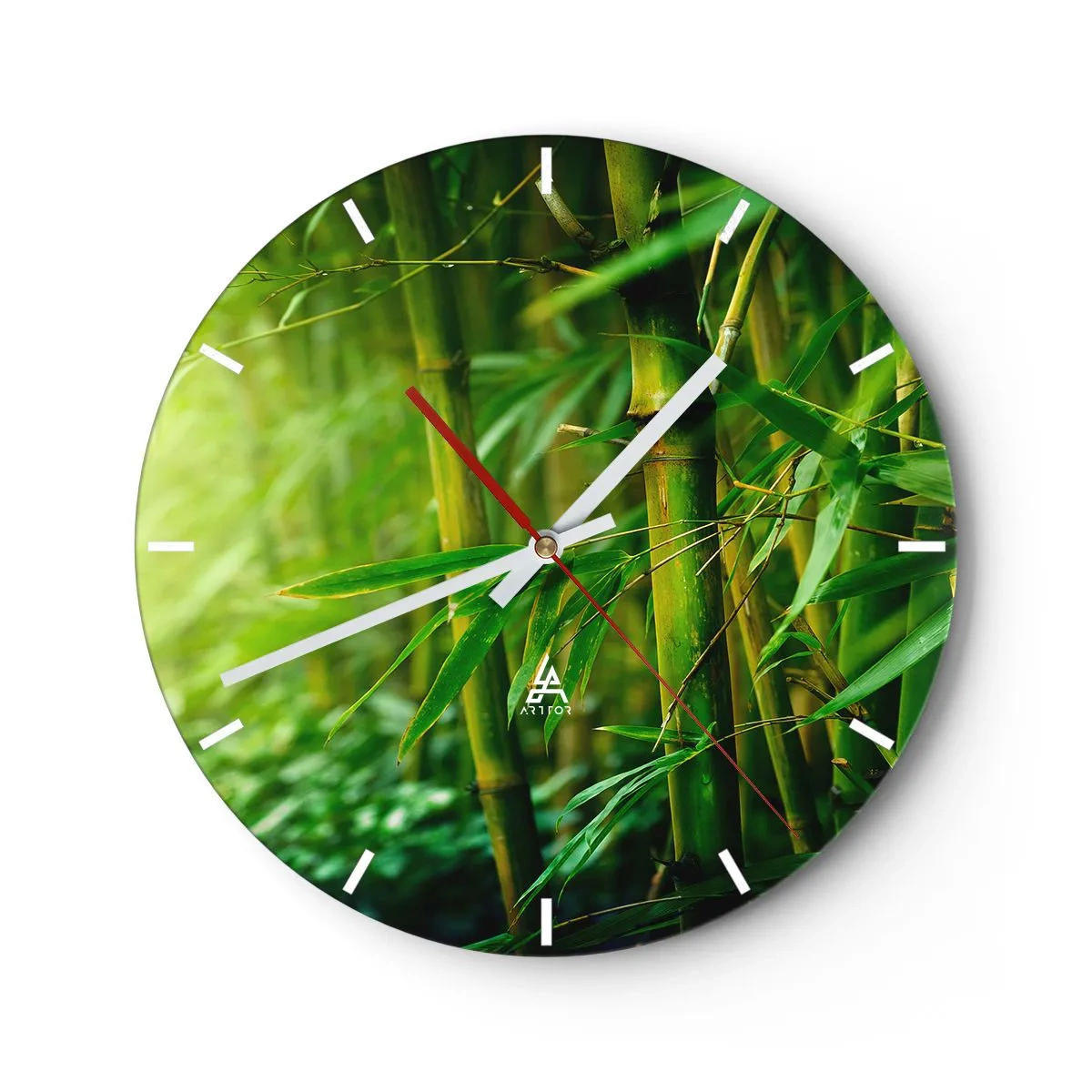 Väggklocka - Klocka på glas - Lär känna grönskan i sig - 40x40 cm