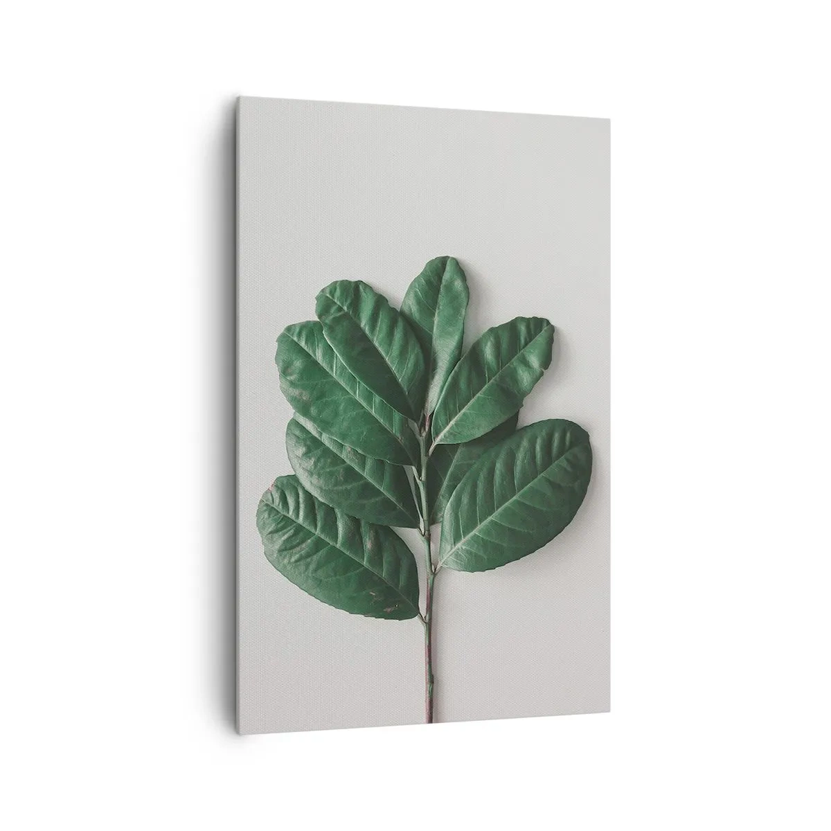 Canvastavla - Bild på duk - Själva naturens bild - 80x120 cm