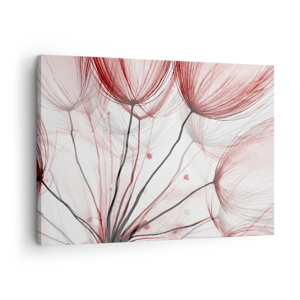Canvastavla - Bild på duk - Fina blommor i röda nyanser mot en ljus bakgrund - 70x50cm - Före avresan - Modern väggdekoration för vardagsrum och sovrum ARTTOR