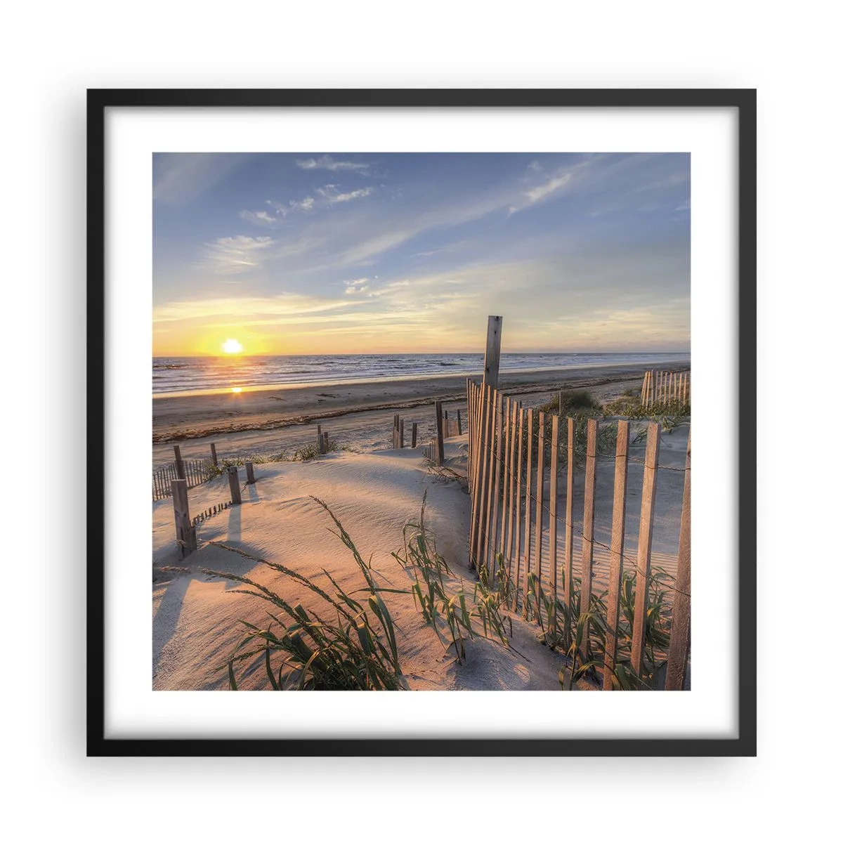 Affisch i svart ram - Vindens sken och skugga - 50x50 cm