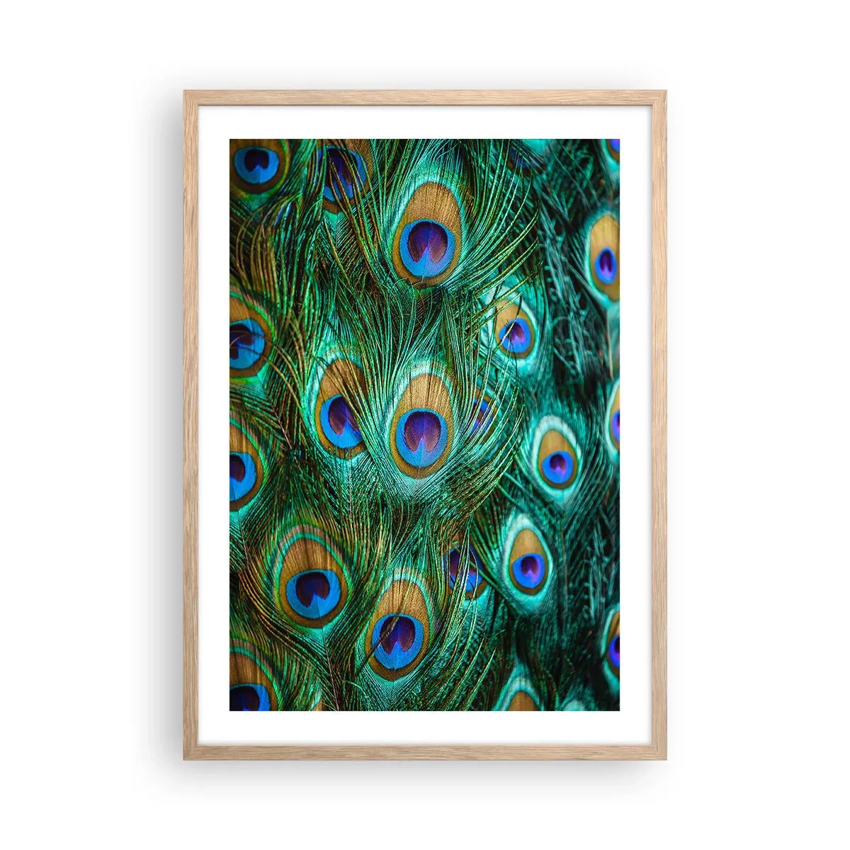 Affisch i ram av ljusek - Påfågels blick - 50x70 cm