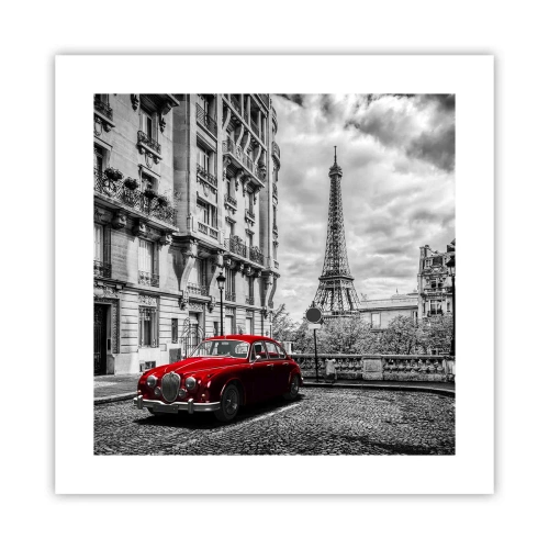 Affisch - Rovdjuret i staden - 40x40 cm