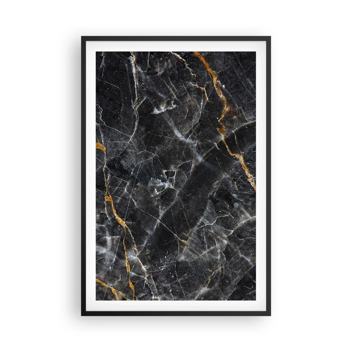 Affisch i svart ram - Stenens interna liv - 61x91 cm