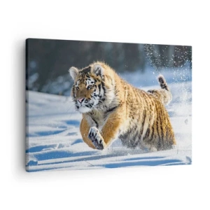Canvastavla - Bild på duk - En sibirisk tiger som springer i ett snöigt landskap - 70x50cm - Sibiriska tajgans gud - Modern väggdekoration för vardagsrum och sovrum ARTTOR