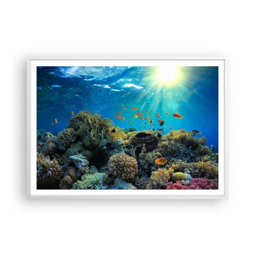 Affisch i vit ram - Undervatenskatter - 100x70 cm