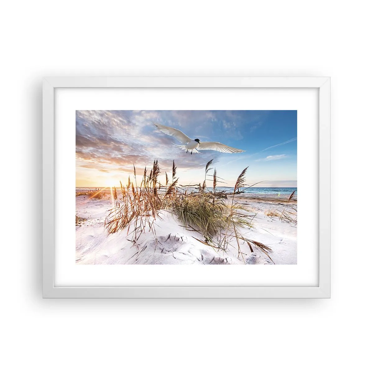 Affisch i vit ram - Vind från havet - 40x30 cm