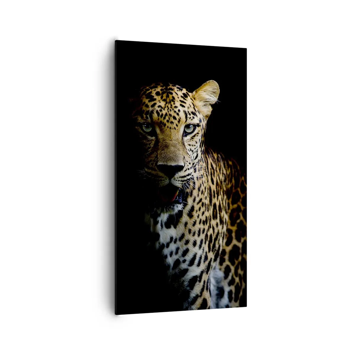 Canvastavla - Bild på duk - Mörk skönhet - 65x120 cm