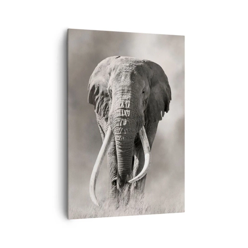 Canvastavla - Bild på duk - Afrikansk patriark - 70x100 cm