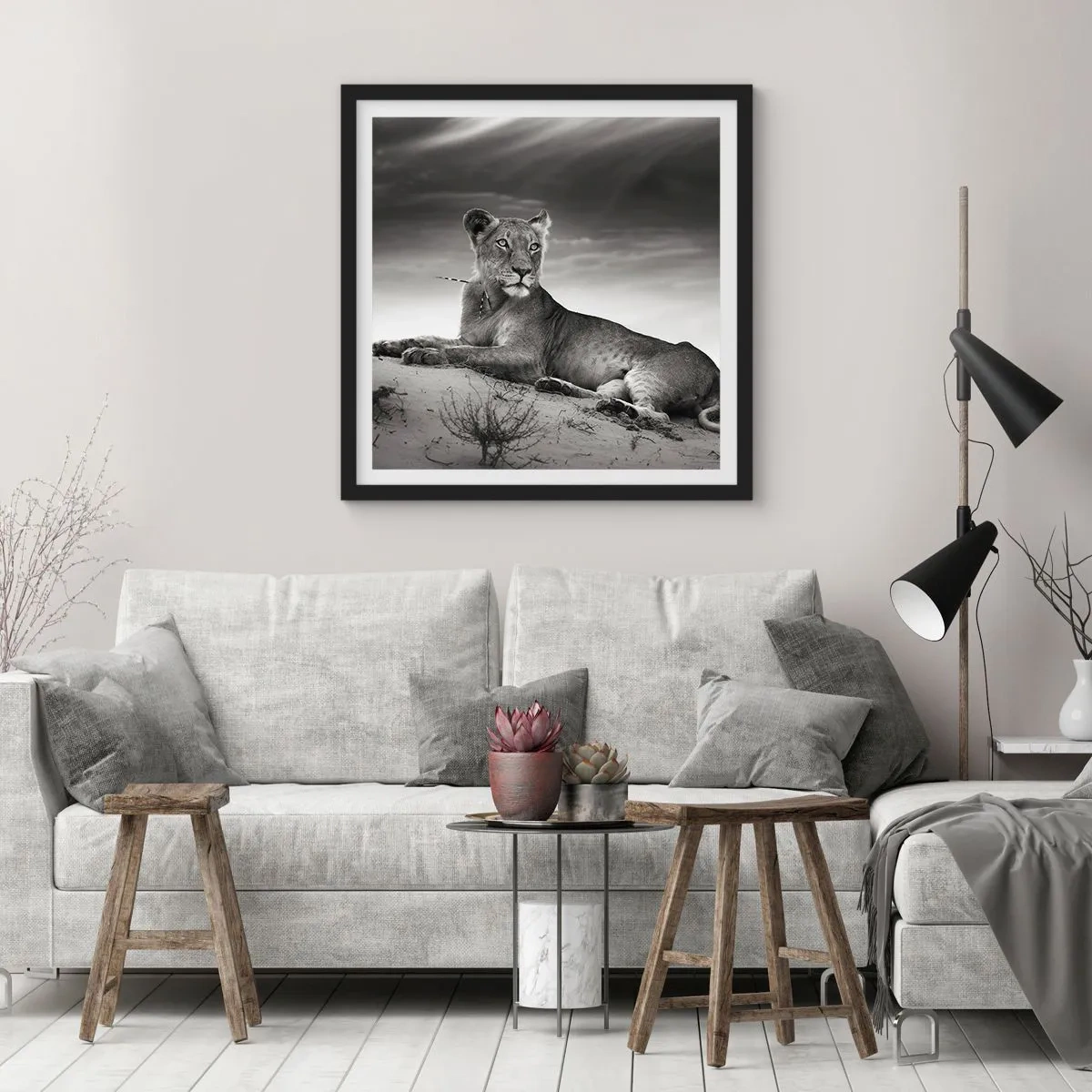 Affisch i svart ram - Öknens drottnings vila - 40x40 cm
