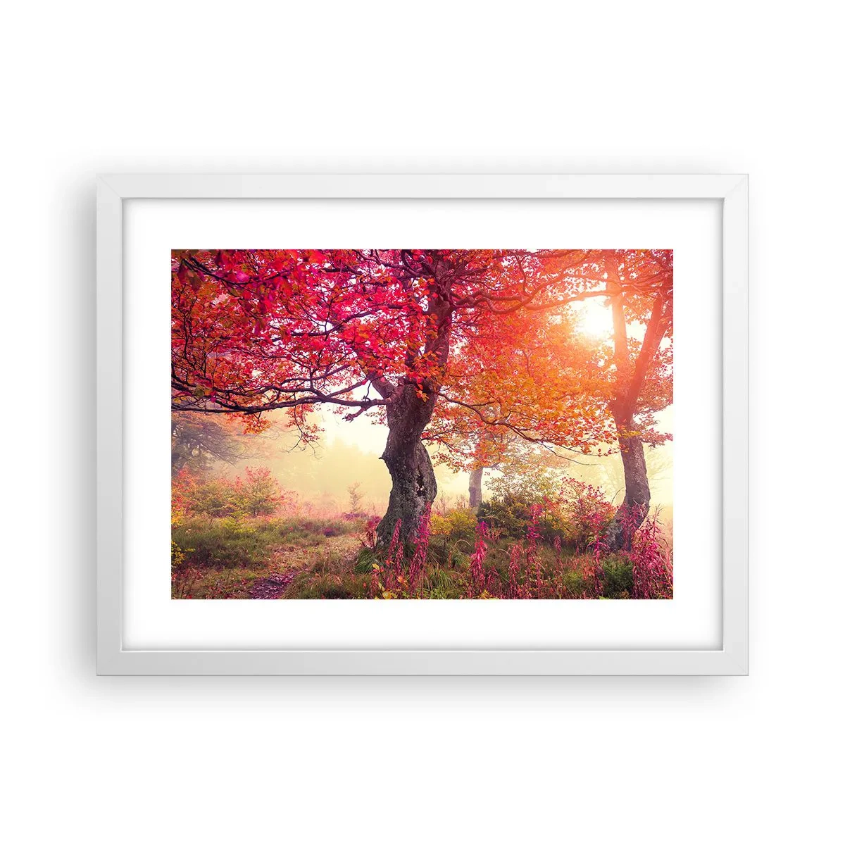 Affisch i vit ram - Våldsam blommande - 40x30 cm
