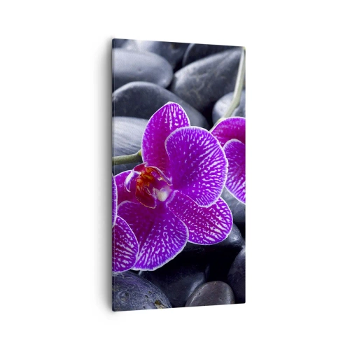 Canvastavla - Bild på duk - Stenarna har bleknat av beundran - 55x100 cm