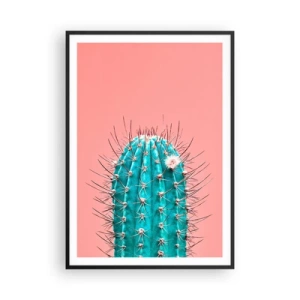 Affisch i svart ram - Titta bara - 70x100 cm