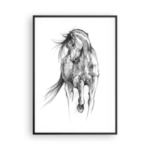 Affisch i svart ram - Elegant trav - 70x100 cm