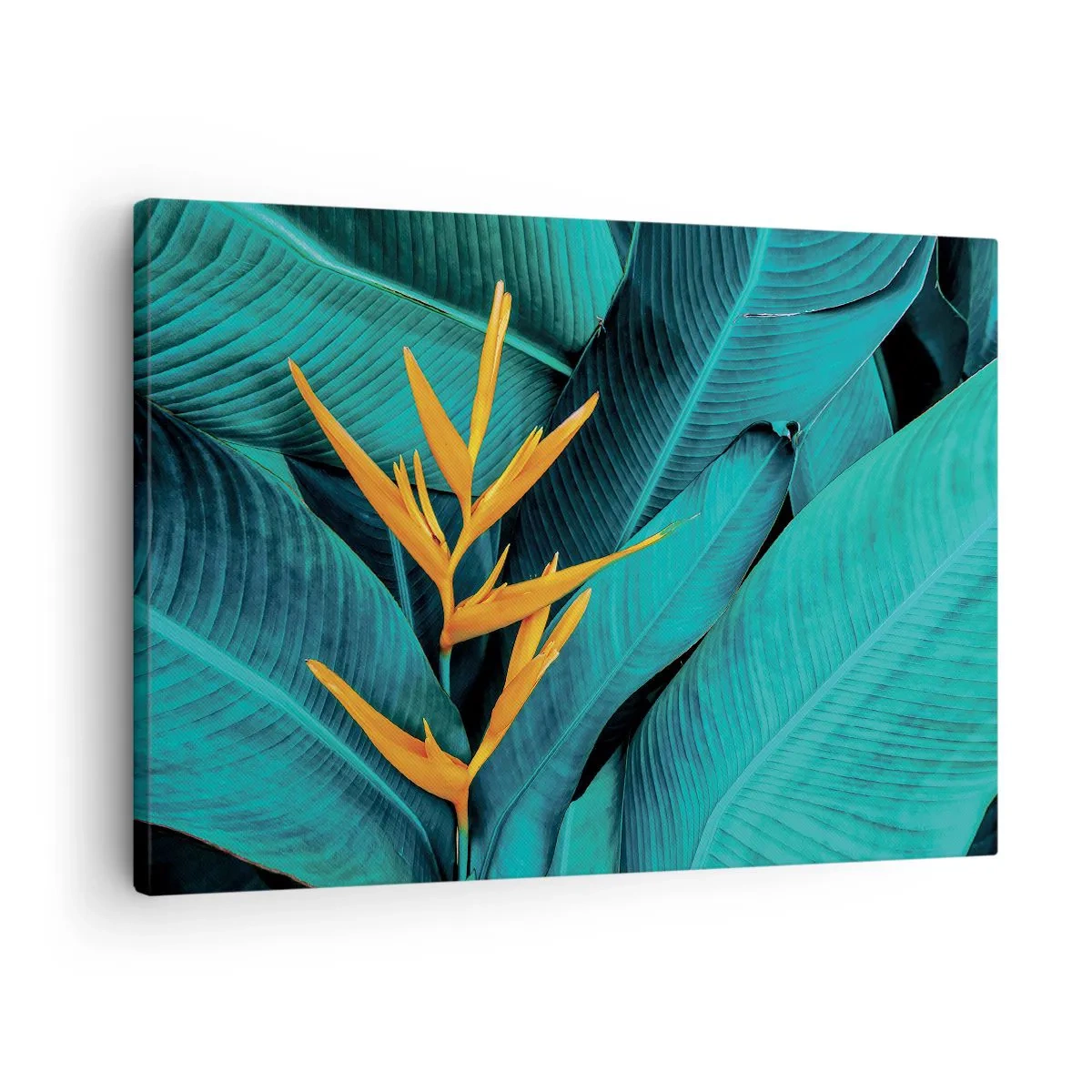 Canvastavla - Bild på duk - En exotisk blomma mot en bakgrund av bananblad i turkosa nyanser. - 70x50cm - Edens blomma - Modern väggdekoration för vardagsrum och sovrum ARTTOR
