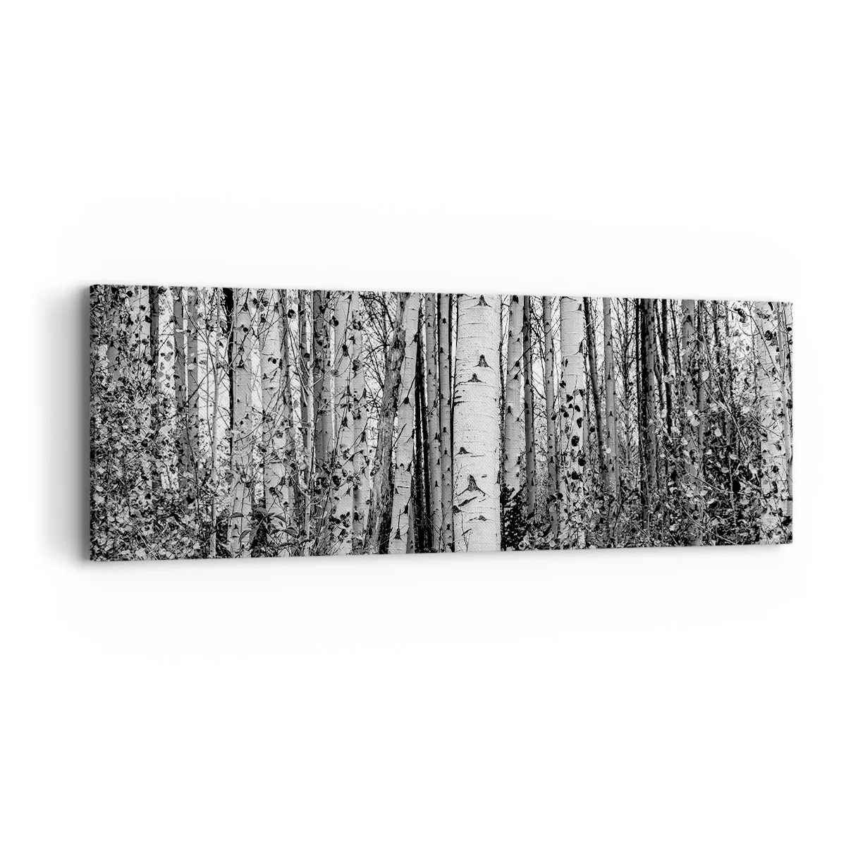 Canvastavla - Bild på duk - Björkpelargång - 90x30 cm