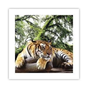 Affisch - Med vänlig hälsning - 40x40 cm