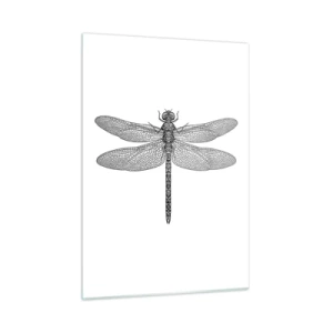 Glastavla - Bild på glas - Precision i naturen - 50x70 cm