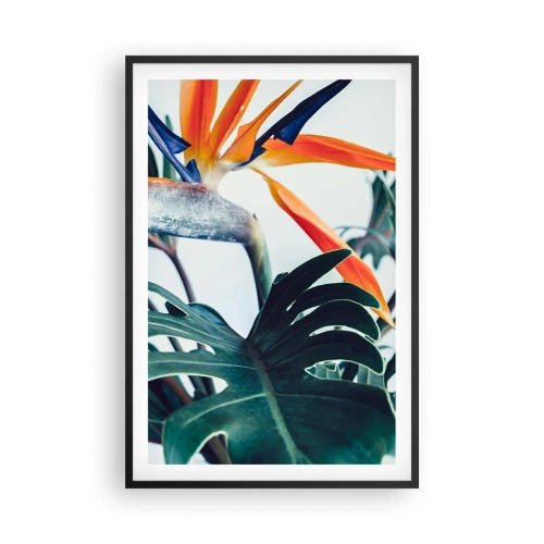 Affisch i svart ram - Fågelbuske - 61x91 cm