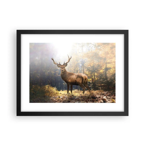 Affisch i svart ram - I fullt majestät - 40x30 cm