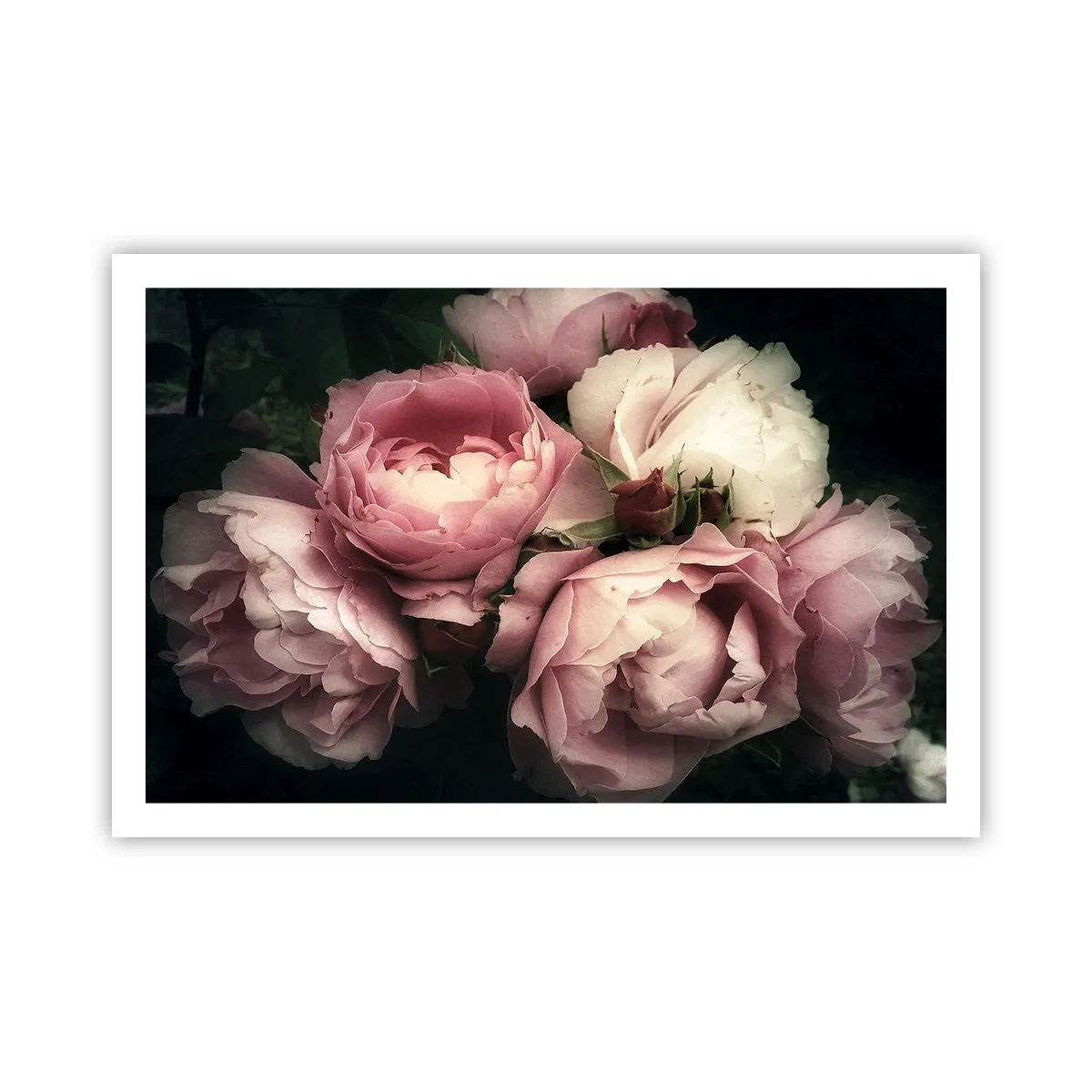 Affisch - Belle epoque charm - 91x61 cm