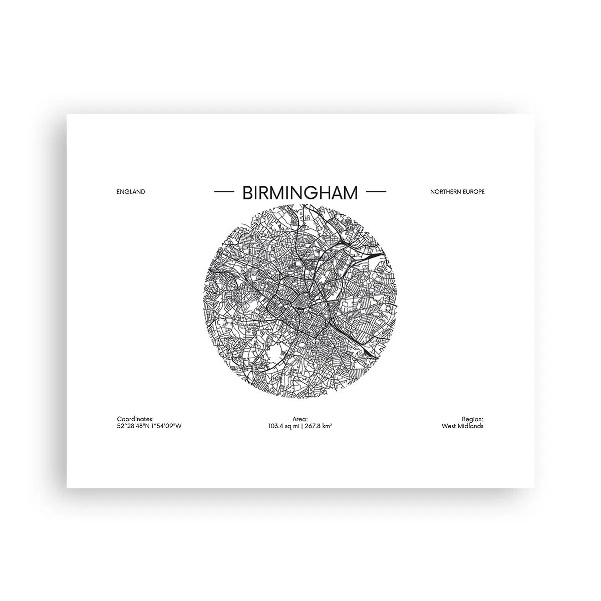 Affisch - Birminghams anatomi - 50x40 cm