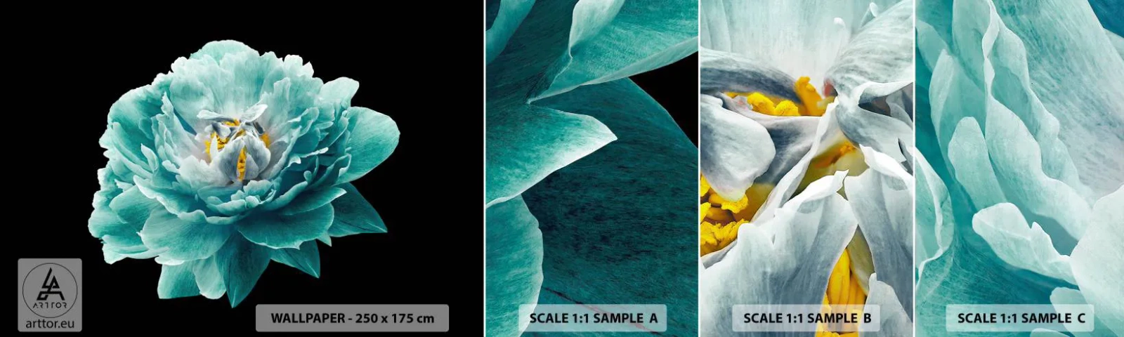 Fototapet Prov Standard Eco - Blå och gyllene kronblad - Blomma, Blomning, Pion - 100x30 cm