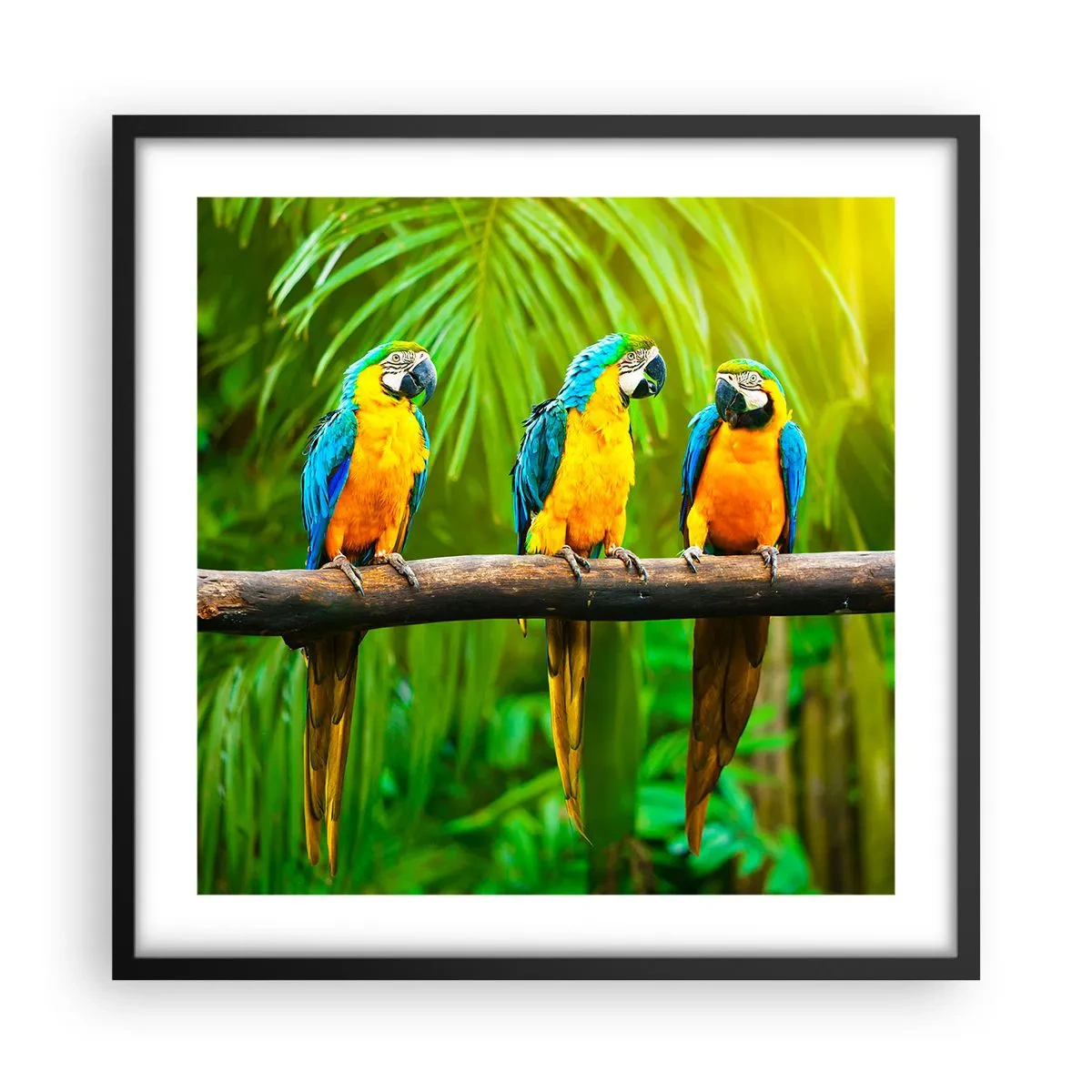 Affisch i svart ram - Har du hört att hon...? - 50x50 cm