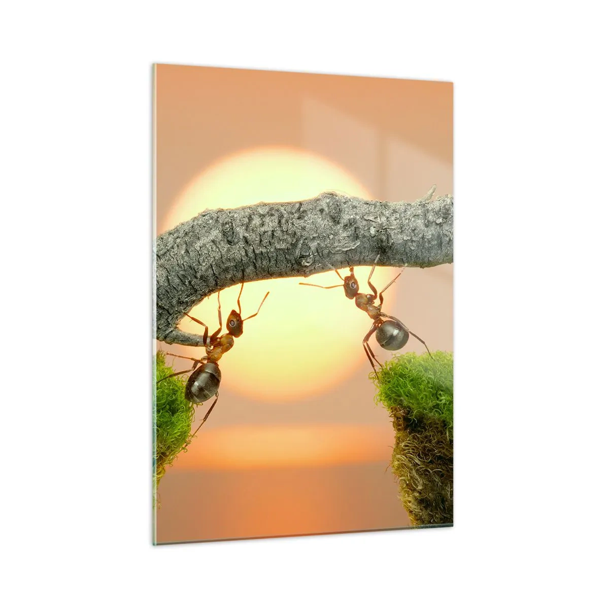 Glastavla - Bild på glas - Glatt, gemensamt arbete - 50x70 cm