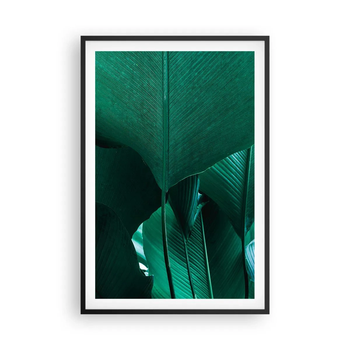 Affisch i svart ram - Vända mot ljuset - 61x91 cm