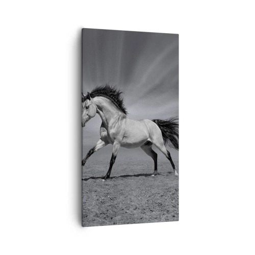 Canvastavla - Bild på duk - Född för att förtjusa - 55x100 cm