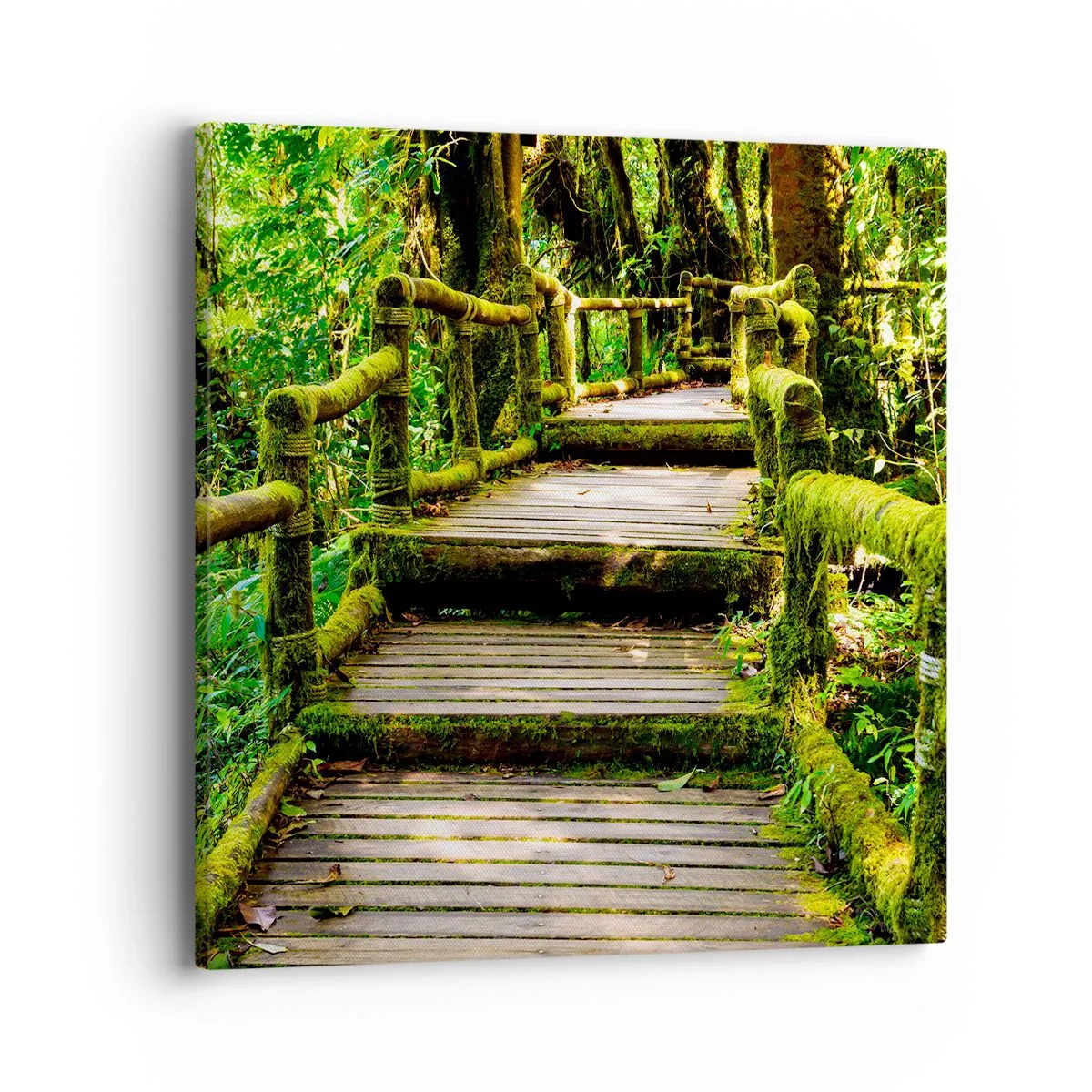 Canvastavla - Bild på duk - Grön korridor - 40x40 cm