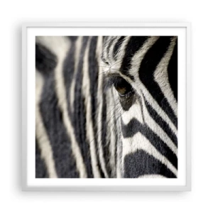 Affisch i vit ram - Randig porträtt - 60x60 cm