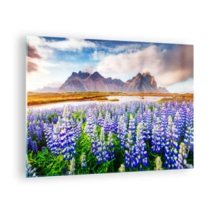 Glastavla - Bild på glas - Ett bergslandskap med en blommande äng och majestätiska toppar - 70x50cm - Styrka och stränghet bredvid mildhet - Modern väggdekoration för vardagsrum och sovrum ARTTOR