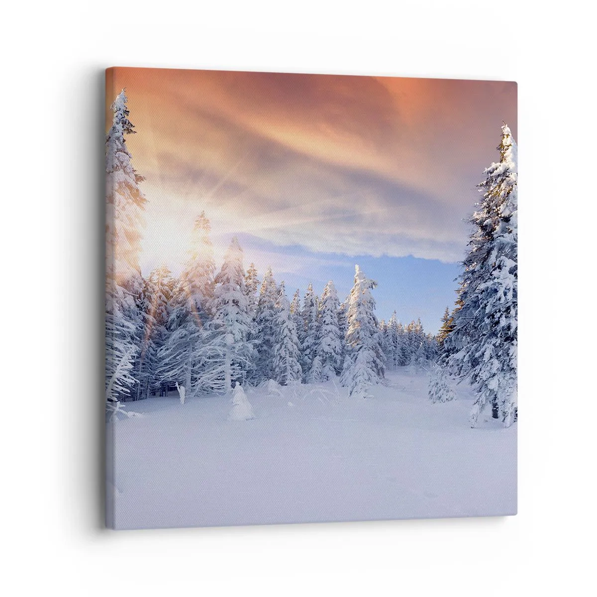 Canvastavla - Bild på duk - Naturens snöiga spel - 30x30 cm